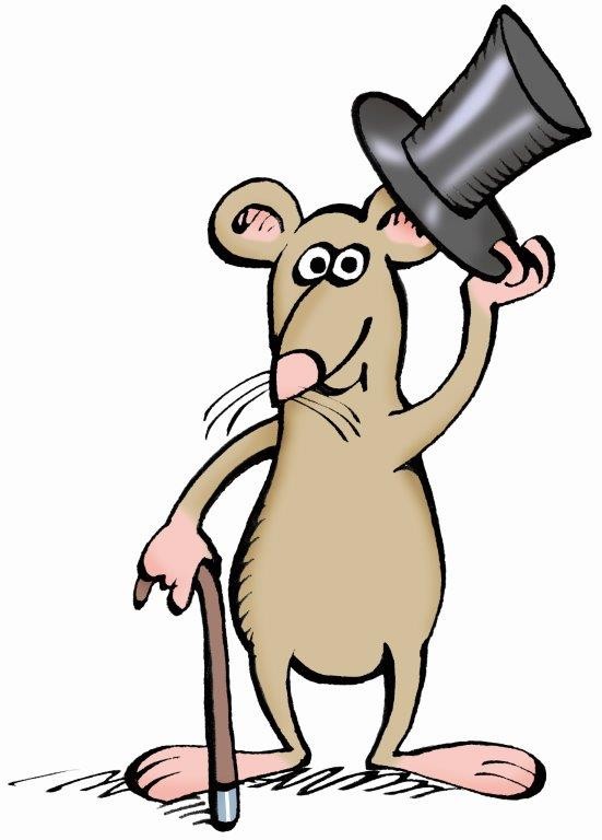 Illustration: Zumsteinmaus hebt Zylinderhut