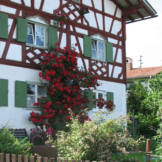 Fachwerkhaus mit Bauerngarten