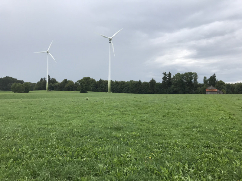 Zwei Windräder auf grüner Wiese