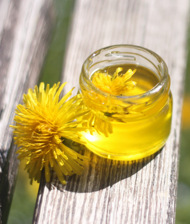 gelbe L&ouml;wenzahnbl&uuml;te mit Gals mit gelber Fl&uuml;ssigkeit