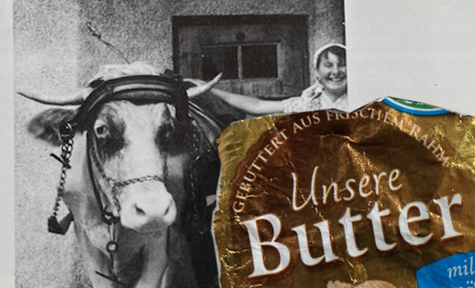 Collage mit schwarz-wei&szlig; Foto von einer Kuh und einen Goldpapier