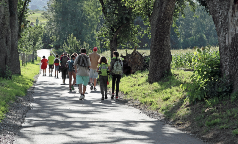 eine Gruppe Jugendliche von hinten, die eine Baumallee eintlanggehen